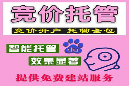 深度解析百度竞价推广公司案例：如何精准触达目标用户